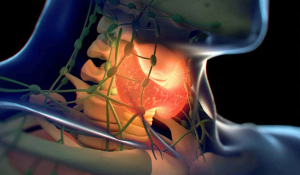 Основні порушення ендокринної системи: симптоми та лікування у Івано-Франківську