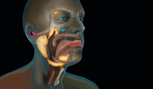 Видалення слинних залоз