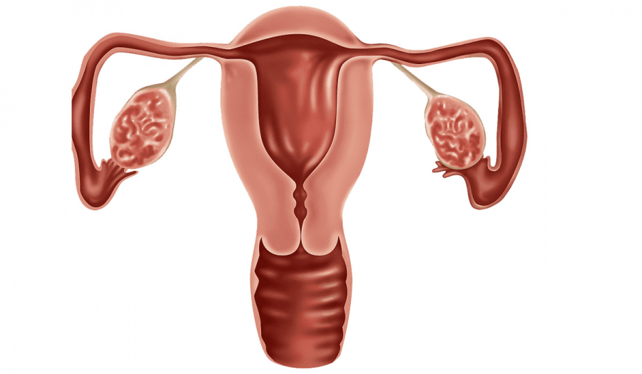 Лапароскопічне видалення маткових труб