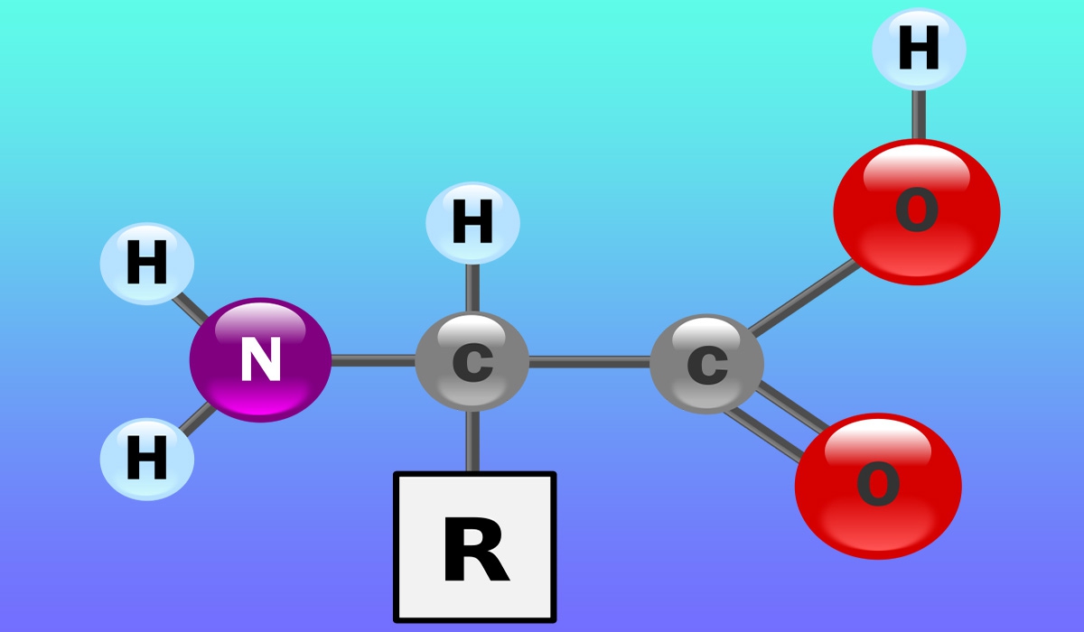 Доступно про амінокислоти