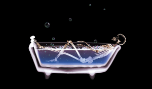 Зробити рентген в Івано-Франківську. Оперативна травматологія.