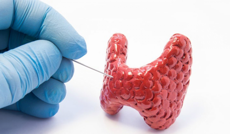 Пункція щитоподібної залози в МЦ "МЕДХАУЗ"