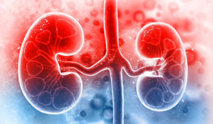 Хронічна хвороба нирок